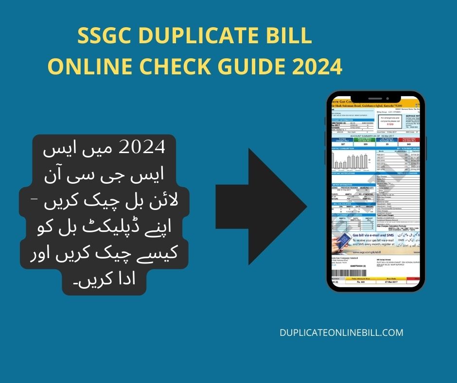 Ssgc duplicate bill online check guide 2024