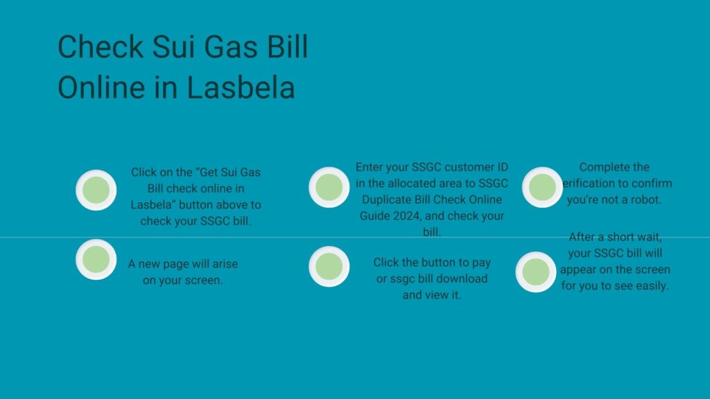 Sui Gas Bill check Online In Lasbela 2024 - Quick And Easy Download SSGC Bill